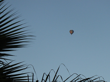 hot air balloon over the back yard