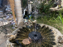 birdbath