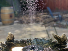 birdbath