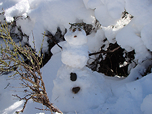 Heidi's tiny snowman!