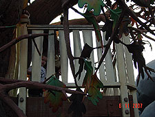 Hunter in Chip & Dale's Treehouse