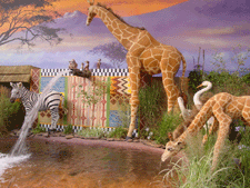 Giraffes, zebra