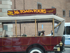 Mr. Toad Tours