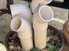 frog hotel