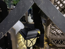 frog hotel