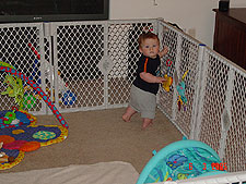 Hunter in his new play area.