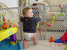 Hunter standing inside his cage.