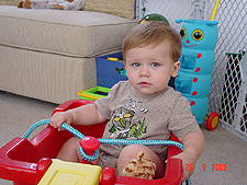 Hunter in his wagon.