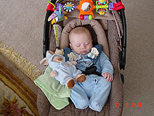 Cuddled up in his carrier.