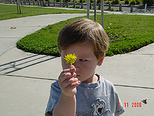 Hunter shows a Dandelion he's picked.