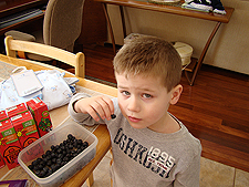 Hunter enjoying the blueberries