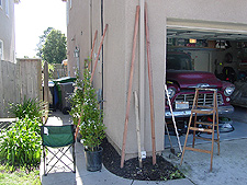 Before...after we pulled out the old plants that had gotten too large.