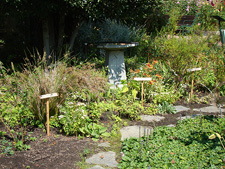 Luther Burbank Gardens