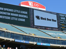 Little League Day