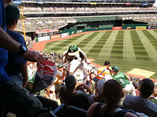 Little League Day