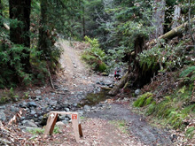 Pole Mountain trail