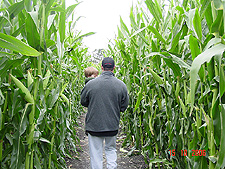 Dave and Hunter in the corn maze.