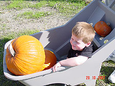 We've found our pumpkins