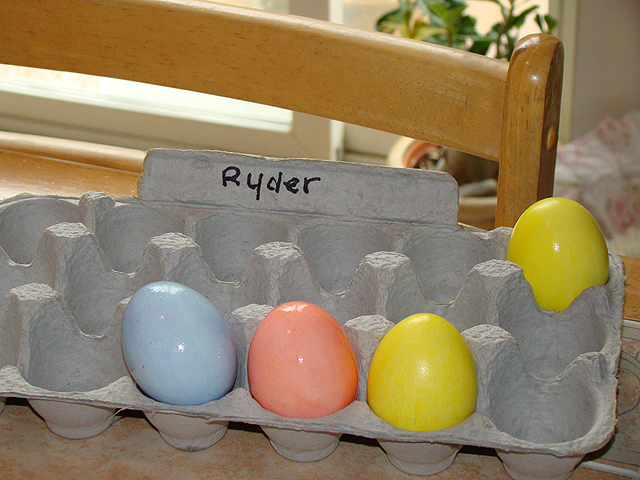 Ryder's eggs