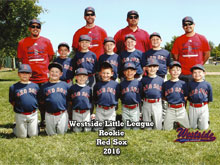 Red Sox team photo