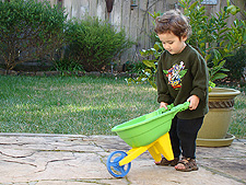 Ryder playing outside