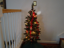 Ryder's tree is alraedy done!