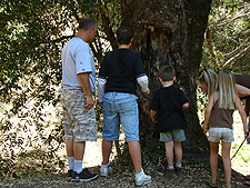 Everyone looking at a large nest of bugs and caterpillars in the tree!