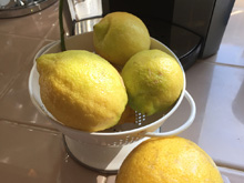 lemons from our tree