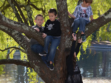 The kids in the tree