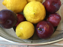 plums and lemons from the yard