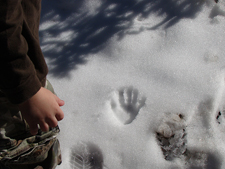 Hunter's handprints.