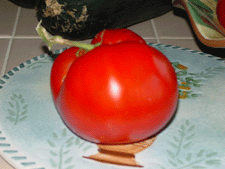 Fresh garden tomato!