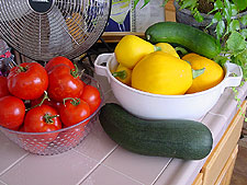 Tomatoes and squash.