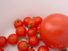 Cherry tomatos.