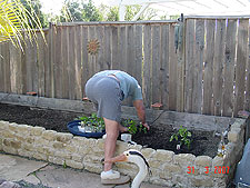 Dave planting the garden