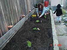 Heidi planting.