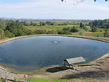 Pond outside Armida Winery.