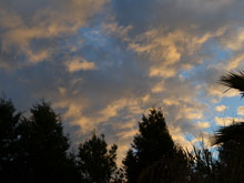 pretty evening skies from the back yard