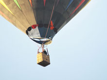 hot air balloon over the yard