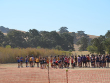 XC