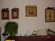 Family room wall.