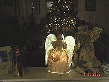 Fiber optic angel in the dark.