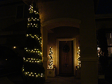 More tree lights...