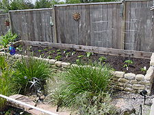 2003 Vegetable Garden