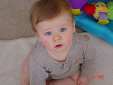 Hunter in his play yard.