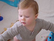 Hunter in his play yard.