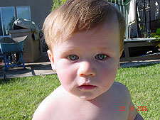 Hunter in the back yard.