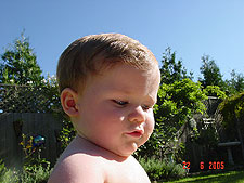 Hunter in the back yard.