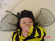 Big hands for a bumble bee...