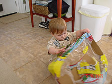 Hunter plays with an empty box.